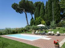 Swimming pool and garden
