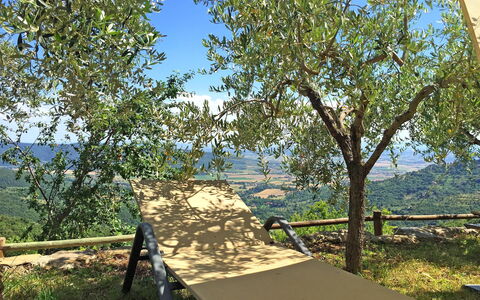 Villa Del Sole: Árbol, Plantas Leñosas, Planta, Reserva Natural, Canoa Abedul, Bienes Raíces, Avión, Mesa, Sombra