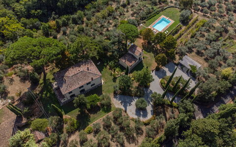 Villa San Pietro: Planta De La Comunidad, Planta, El Terreno Del Lote, Edificio, Árbol, Diseño Urbano, Paisaje Natural, Barrio, Barrio Residencial, Área Rural