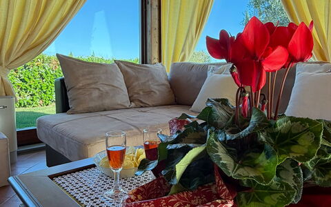 Villa Mira: Mueble, Diseño De Interiores, Encendiendo, Sofá, Cortina, Sombra, Tratamiento De La Ventana, Eco Hotel, Sala