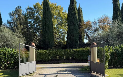 Villa Mira: Arbusto, Jardín, Sombra, Paisajismo, Hojas Perennes, Cobertura, Parque, Cerca