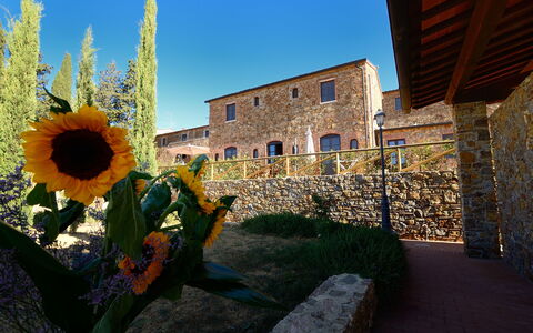 Borgo Casa Di Lappi: Girasol, Flor, Azul, Girasol, Amarillo, Cielo, Planta, Arquitectura, Edificio, Paisaje