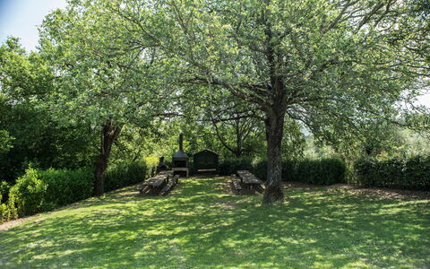 Agriturismo la Papessa: Planta, Verde, Hoja, Rama, Paisaje Natural, Cielo, Árbol, Vegetación, El Terreno Del Lote, Sombra