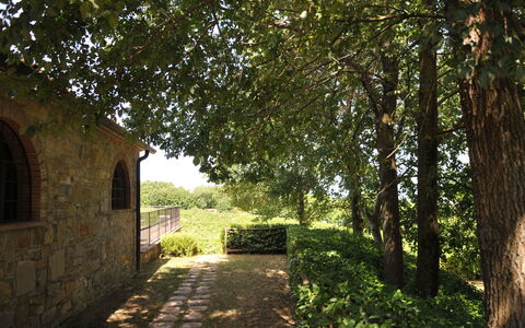 Agriturismo la Papessa: Planta, Ventana, Hoja, Árbol, Paisaje Natural, Superficie De La Carretera, Sombra, Luz De Sol, Vegetación, Hierba