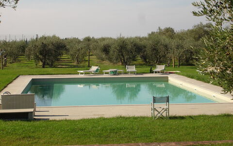 Agriturismo la Papessa: Agua, Planta, Propiedad, Piscina, Cielo, Rectángulo, Sombra, Hierba, El Terreno Del Lote, Ocio
