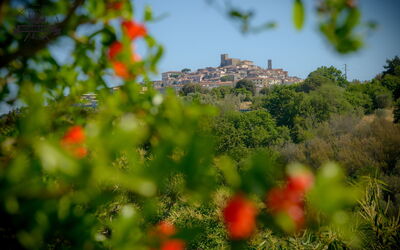 Il Lupinaio 43