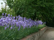 Villa Il Palagio Pian Di Sco