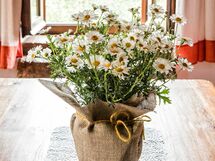 Alojamiento:&nbsp;Casa Vecchia