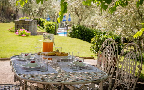 Villa Le Capanne: Verde, Amarillo, Mesa, Mueble, Patio Interior, Silla, Jardín, Árbol, Restaurante, Planta