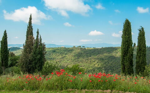 Fontanelle 16: Paisaje Natural, Prado, Naturaleza, Entorno Natural, Vegetación, Pradera, Cielo, Desierto, Reserva Natural, Biome