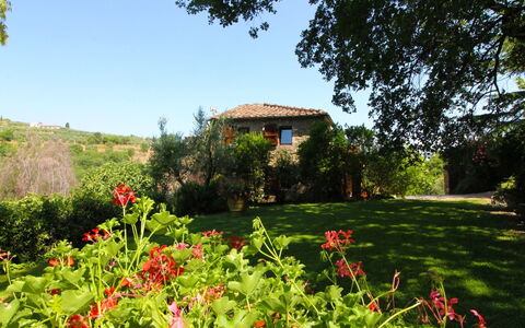 Villa Gioiosa: Flor, Planta, Cielo, Planta De La Comunidad, Árbol, Paisaje Natural, Edificio, El Terreno Del Lote, Vegetación, Hierba