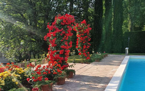 Torre del Cielo: Agua, Flor, Planta, Verde, Árbol, Vegetación, Pétalo, Hierba, Maceta, Paisaje
