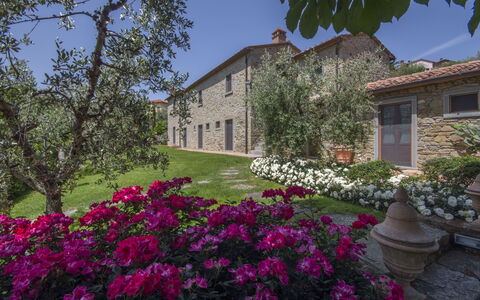 Villa Il Sasso: Propiedad, Casa, Casa, Flor, Bienes Raíces, Edificio, Planta, Primavera, Botánica, Jardín