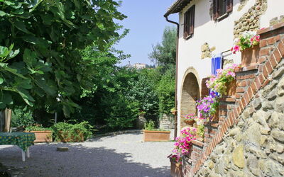Uccellaia