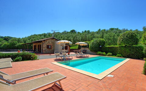 Cuccardino: Cielo, Propiedad, Planta, Piscina, Agua, Árbol, Mueble Para Exteriores, Madera, Rectángulo, Hierba