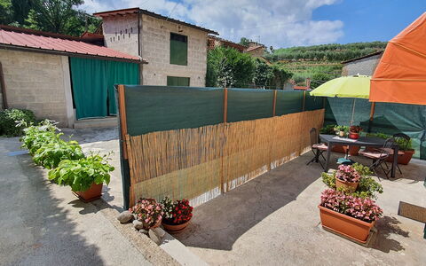 La Piccola Margherita: Propiedad, Casa, Pared, Bienes Raíces, Casa, Patio Interior, Edificio, El Terreno Del Lote, Paisaje, Yarda