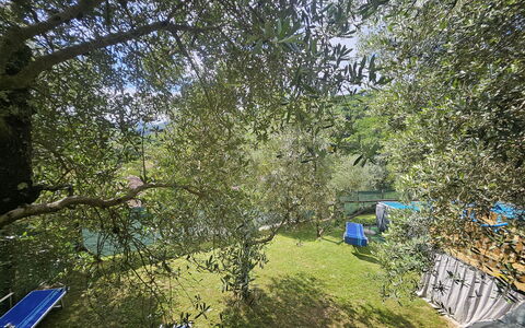 Alla Piazzetta Proprietà: Azul, Jardín, Sombra, Patio Interior