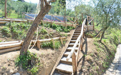 Alla Piazzetta: Árbol, Botánica, Escalera, Pasarela, Planta, Madera, Planta De La Comunidad, Fauna Silvestre, Boardwalk, Casa