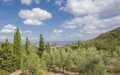 Il Ruscello