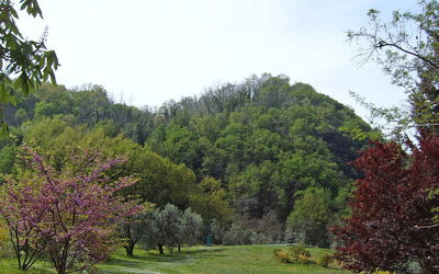 Il Ruscello