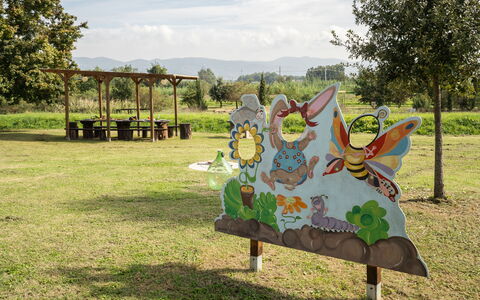 Incanto Toscano: Planta, Nube, Árbol, Cielo, El Terreno Del Lote, Ocio, Arte, Hierba, Pradera, Recreación