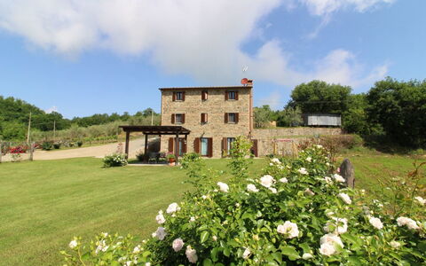 Poggio del Fabbro: Flor, Planta, Nube, Edificio, Cielo, Árbol, Paisaje Natural, Ventana, El Terreno Del Lote, Casa