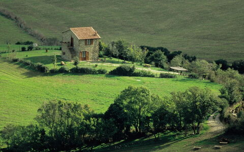 Agriturismo le Calle: Planta, Verde, Ventana, Naturaleza, Paisaje Natural, Edificio, Árbol, Vegetación, Casa, El Terreno Del Lote
