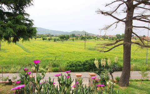 Podere i Gigli: Naturaleza, Paisaje Natural, Vegetación, Entorno Natural, Pradera, Árbol, Primavera, Planta, Jardín, Botánica