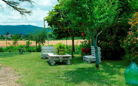 Podere i Gigli: Planta, Cielo, Verde, Planta De La Comunidad, Nube, Árbol, Banco Al Aire Libre, Paisaje Natural, El Terreno Del Lote, Hierba