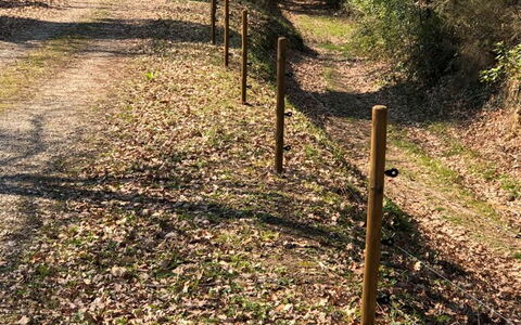 L'incanto: Planta, Árbol, Paisaje Natural, Madera, El Maletero, Hierba, Caduco, Plantas Leñosas, Cobertura Del Suelo, Arbusto