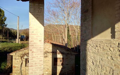 La Collina Con Gli Ulivi