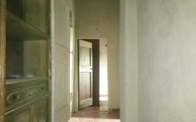 Alojamiento:&nbsp;Cotoneaster