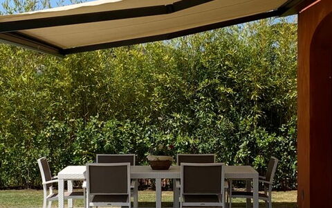 Uva: Planta, Mueble, Cielo, Planta De La Comunidad, Mesa, Sombra, Mesa Al Aire Libre, Mueble Para Exteriores, Silla, Árbol