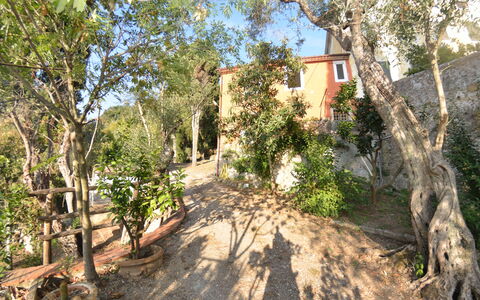 Collina Lagomare: Propiedad, Árbol, Bienes Raíces, Casa, La Carretera, Planta, Edificio, Planta De La Comunidad, Paisaje, Inmuebles
