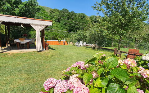 Casa Irene: Flor, Planta, Cielo, Botánica, Naturaleza, Pétalo, Árbol, Paisaje Natural, Hierba, Paisaje