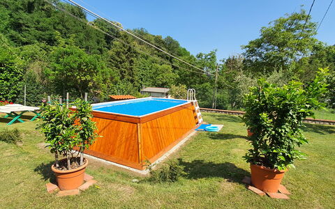 Casa Irene: Planta, Planta De La Comunidad, Cielo, Sombra, Mueble Para Exteriores, Vegetación, Maceta, Piscina, Árbol, Hierba