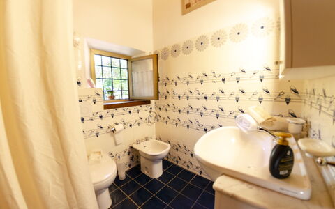 Il Molino: Lavabo, Lavabo Del Baño, Propiedad, Arreglo De Tubería, Grifo, Púrpura, Baño, Diseño De Interiores, Suelo, Edificio