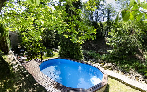 Il Molino: Planta, Agua, Planta De La Comunidad, Naturaleza, Botánica, Paisaje Natural, Árbol, Vegetación, Corriente De Agua, Sombra