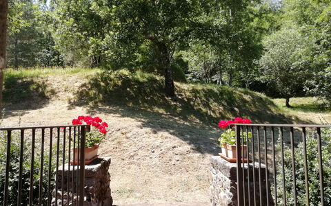 Vignoli: Naturaleza, Vegetación, Árbol, Propiedad, Jardín, Botánica, Reserva Natural, Primavera, Planta, Hierba