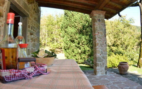 Vignoli: Propiedad, Edificio, Habitación, Porche, Casa, Patio, Bienes Raíces, Casa, Inmuebles, Villa