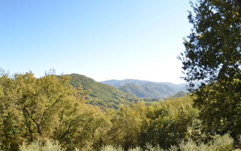 Vignoli: Accidentes Geográficos Montañosas, Vegetación, Naturaleza, Paisaje Natural, Árbol, Cielo, Montaña, Desierto, Entorno Natural, Colina