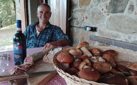 Vignoli: Comida, Ingrediente, Cocina, Plato