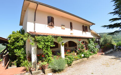 Petra: Propiedad, Casa, Edificio, Bienes Raíces, Casa, Villa, Área Rural, Árbol, Fachada, Arquitectura