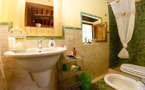 Podere L'istrice: Baño, Habitación, Propiedad, Baño, Diseño De Interiores, Asiento Del Baño, Arreglo De Tubería, Pared, Suelo, Grifo