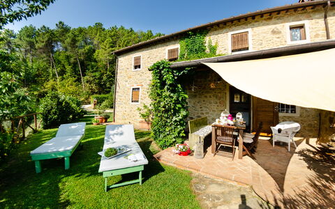 Podere L'istrice: Propiedad, Casa, Edificio, Patio Interior, Yarda, Casa, Bienes Raíces, Arquitectura, Habitación, Hierba