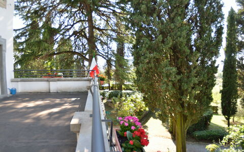 Villa Il Borghetto: Árbol, Planta, Flor, Primavera, Arquitectura, Pasarela, Parque, Arbusto
