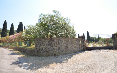 Villa Il Borghetto: Pared, Árbol, El Terreno Del Lote, Fotografía, Pared De Piedra, Historia, Paisaje, Sitio Historico, Turismo, Edificio
