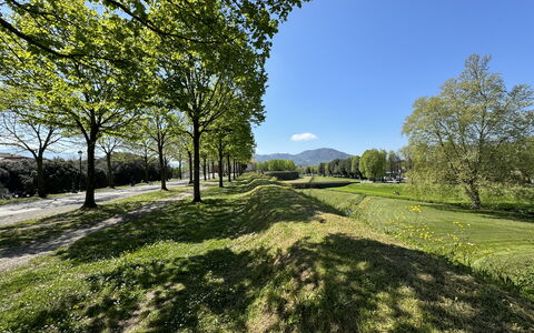 Alle Mura: Verde, Hierba, Naturaleza, Paisaje Natural, Vegetación, Pradera, Colina, Llanura, Paisaje, El Terreno Del Lote