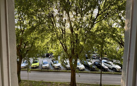 Alle Mura: Vehículo, Coche, Árbol, Vehículo De Motor, Rueda, Transporte, Automotive Exterior