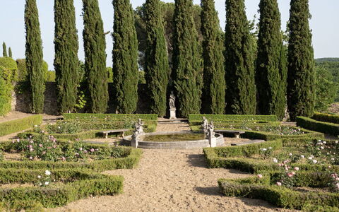Terrazza e Libreria: Planta, Cielo, Nube, Vegetación, Árbol, Hierba, Paisaje Natural, Cobertura, Biome, Hojas Perennes